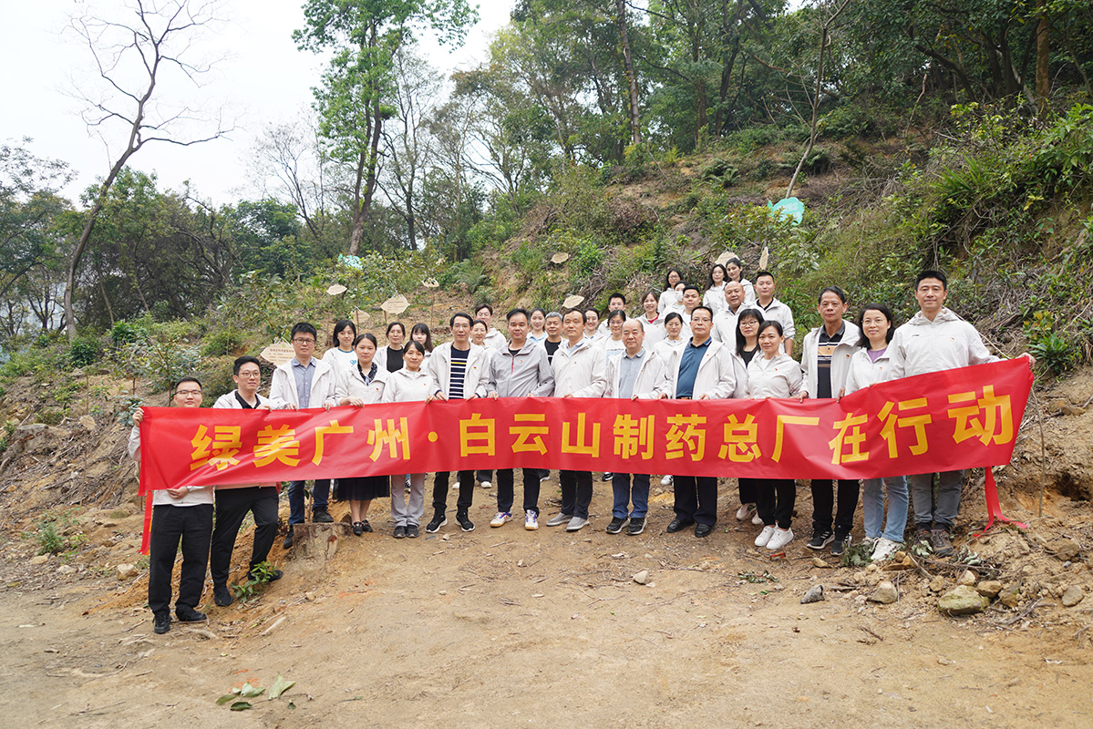 绿美昭通·新宝GG党员在行动